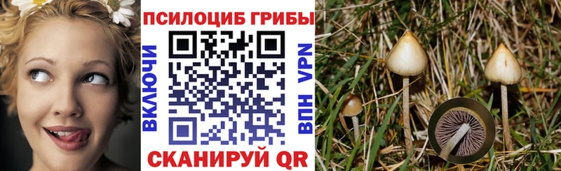 Псилоцибиновые грибы MAGIC MUSHROOMS  Купить закладки  Лодейное Поле 