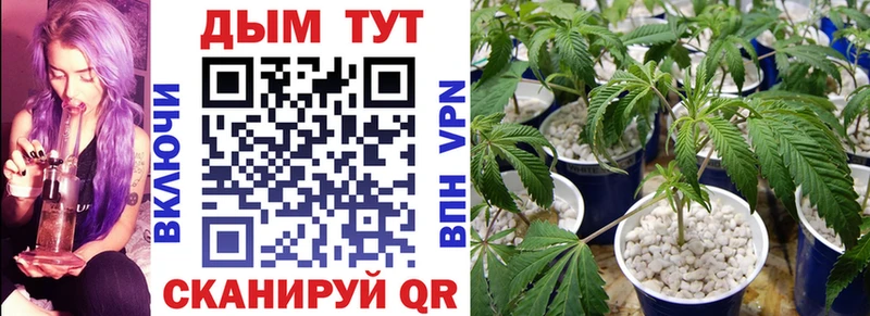 Купить где  Лодейное Поле  Конопля THC 21% 